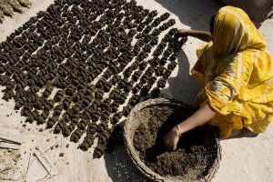 Nitrogen use efficiency must be improved to reduce harm to human and environmental health