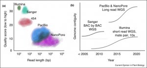 Building near-complete plant genomes