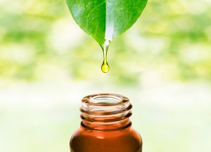 Plant Molecular Farming Promotes Accessibility, Reduced Costs of Pharmaceuticals