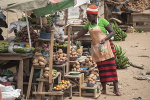 Media and Politics Affect GMO Adoption for Food in Uganda