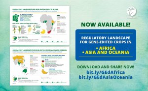 ISAAA Infographics Show Regulatory Landscape for Gene-Edited Crops in Africa, Asia, and Oceania