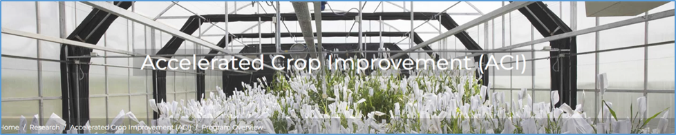 ICRISAT Accelerated Crop Improvement (ACI) Overview