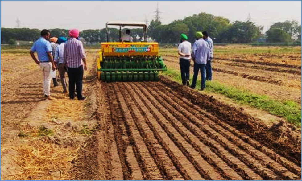 Identification of candidate genes for deep-sowing tolerance in rice by genome-wide association study and transcriptome sequencing