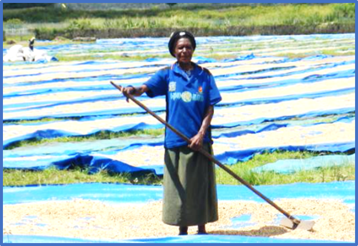 IFAD to co-finance Papua New Guinea AgriConnect Action Plan with the World Bank