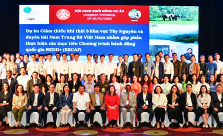 IFAD, Viet Nam and the GCF launch US$102 million climate investment to protect forests and boost rural incomes