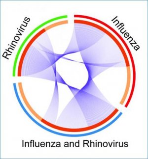 Reply to Kloepfer and Gern: Independent studies suggest an arms race between influenza and rhinovirus: What next?