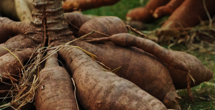 Interaction mechanisms in cassava starch-hemicellulose-sinapic acid ternary complex