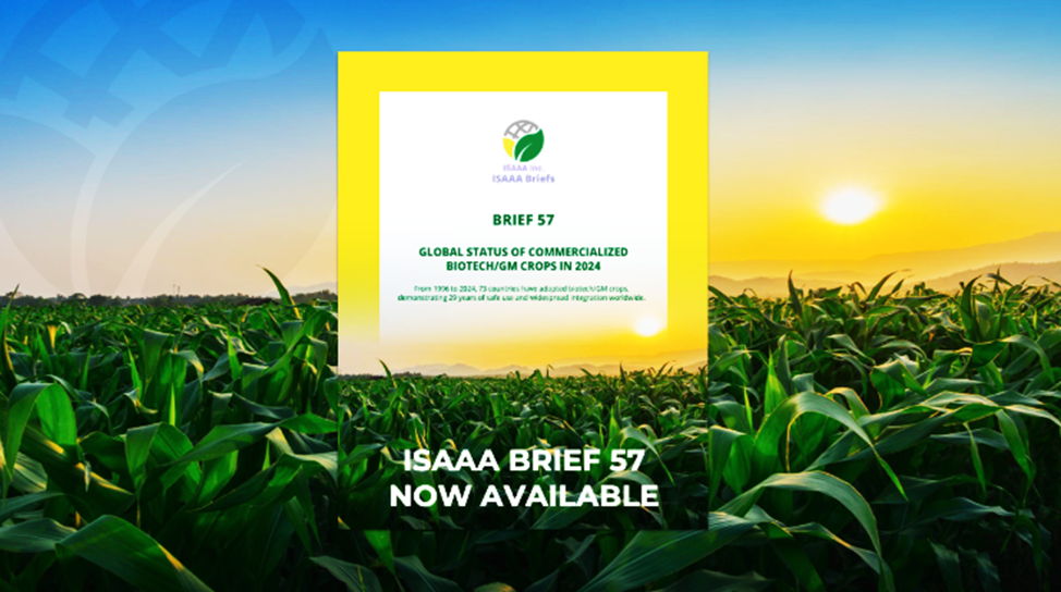ISAAA Global Report on Biotech Adoption Now Available