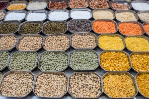 World Pulses Day 2024: Shining the spotlight on the vital role of pulses in promoting soil health and nourishing people