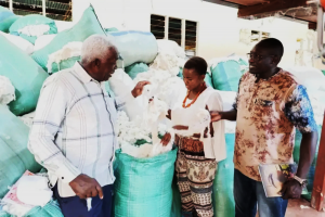 Kenyan Farmers Seek Financial Assistance in Adopting Bt Cotton
