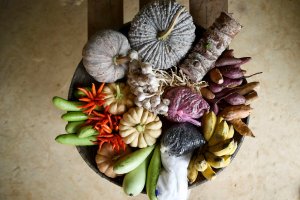 FAO launches new portal for statistics on Food and Diet