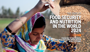 733 Million Faced Hunger in 2023: UN Report