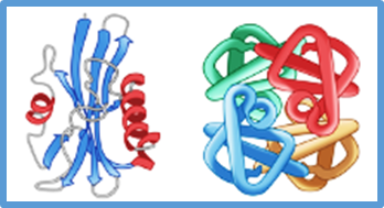  Machine learning reveals hidden dimensions of functional similarity in proteins