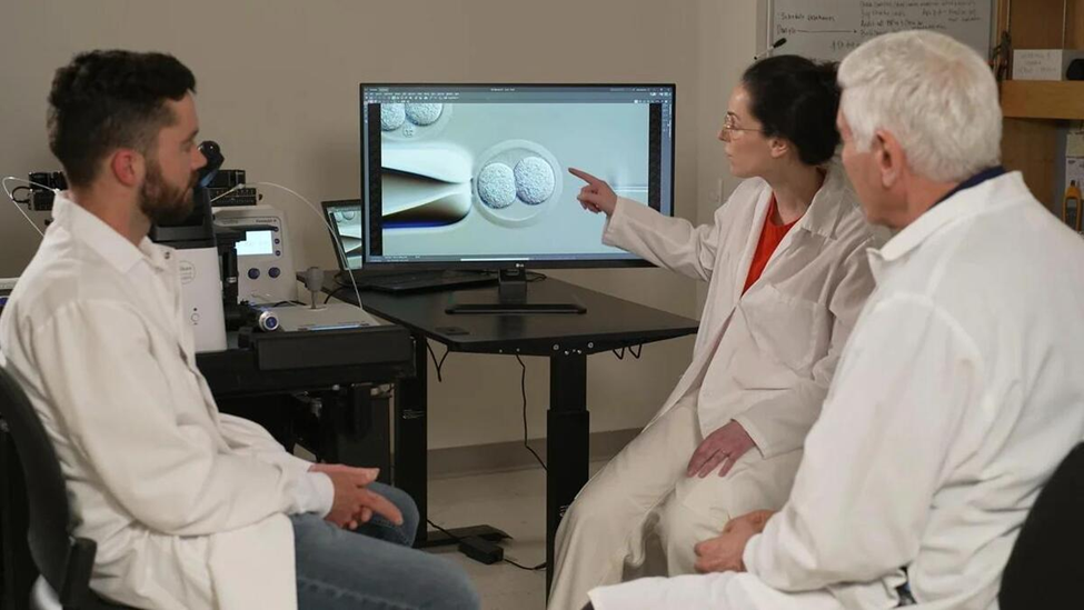 MIT Genetically Engineers Mice to Stop Lyme Disease Transmission