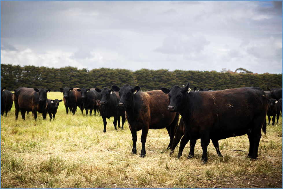 New FAO guidance on assessing food safety risks related to environmental inhibitors