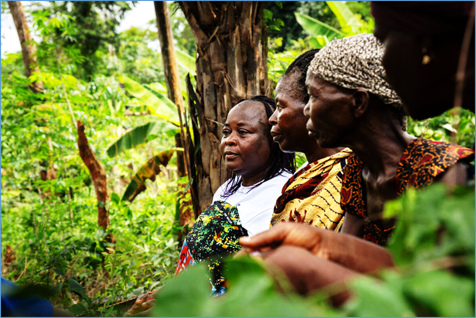 New research provides updated estimates on global forest-sector employment