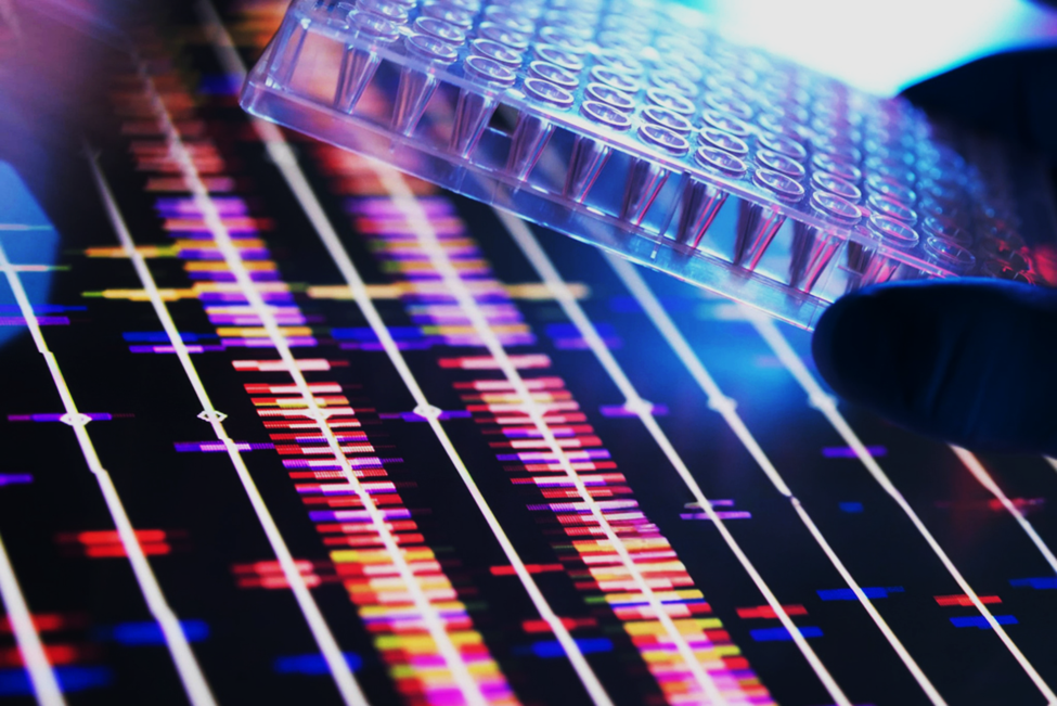 New Software Tool Helps Scientists Design and Analyze Gene Regulation