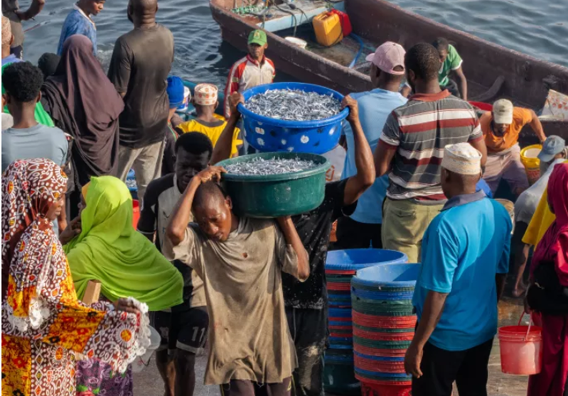 Nutrition-Sensitive Trade: What Zanzibar&rsquo;s Dagaa Fishery Reveals About Food and Nutrition Security