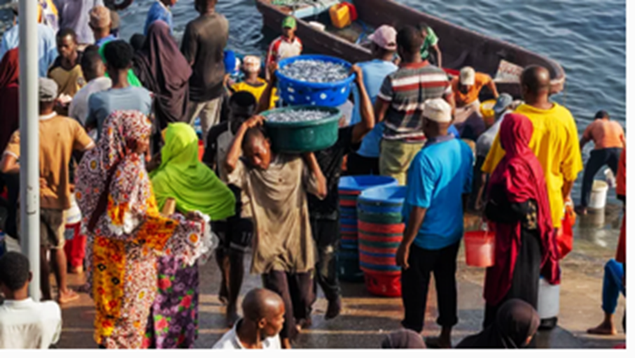 Nutrition-Sensitive Trade: What Zanzibar&rsquo;s Dagaa Fishery Reveals About Food and Nutrition Security