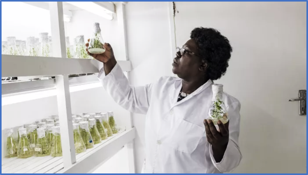 Our Research and Impact