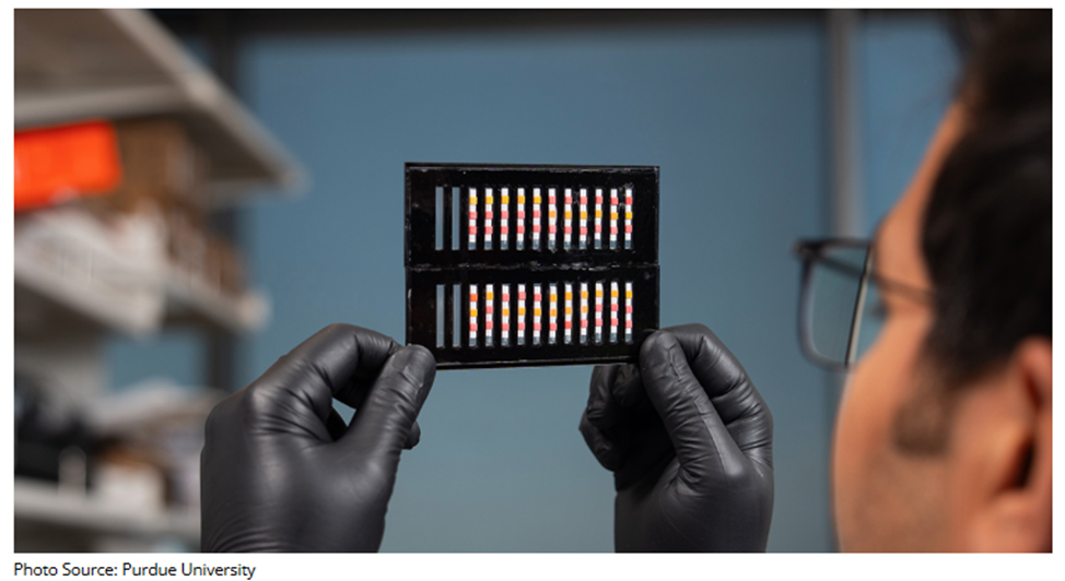 Paper-based Biosensor Detects GM Corn and Soybeans