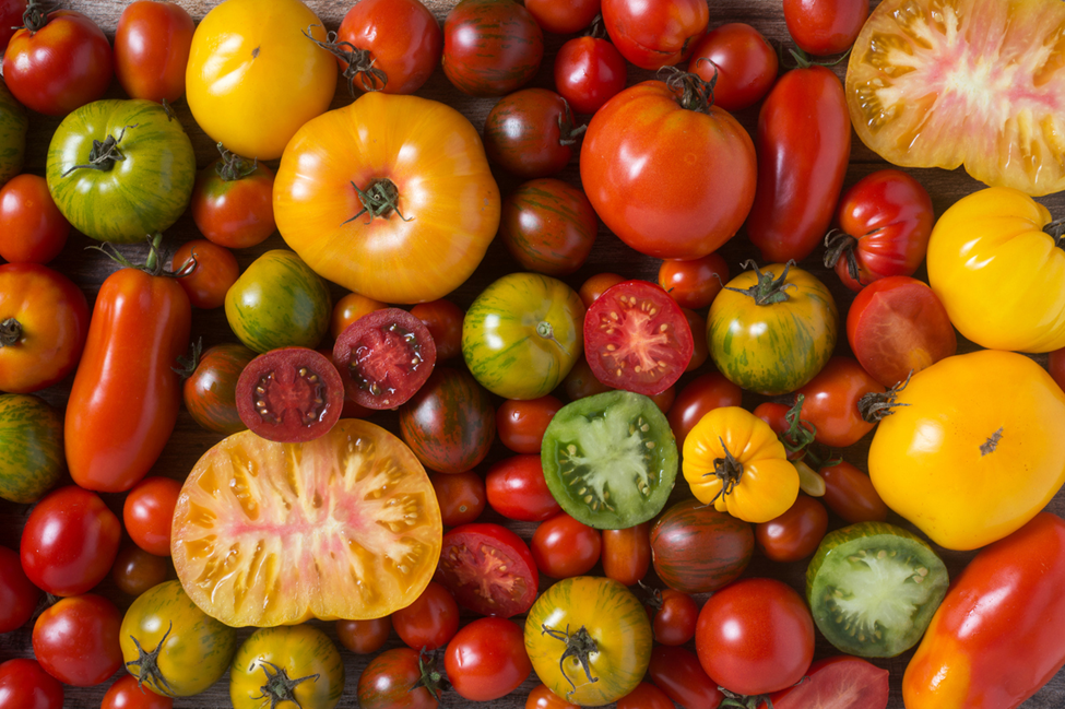 Plant-Based Biosensor Could be Key to Timing Fruit Ripening