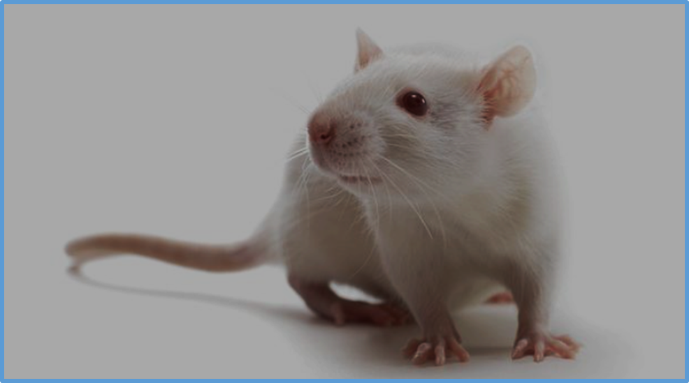 ProPE expands the prime editing window and enhances gene editing efficiency where prime editing is inefficient