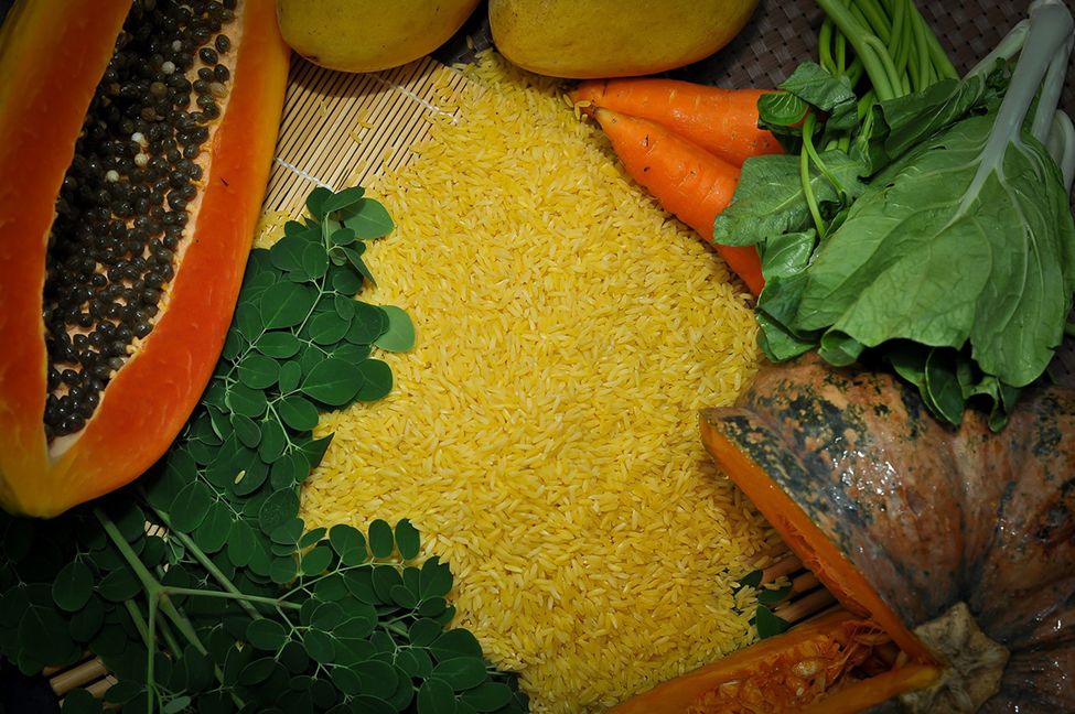 Quarter Century of Golden Rice: Innovation and Impact in the Past 25 Years