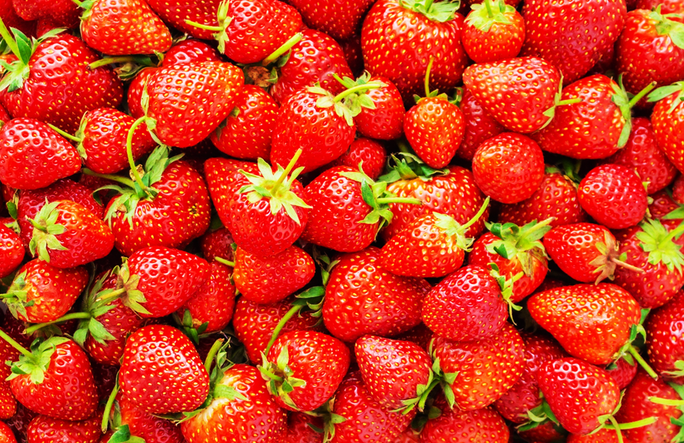 Scientists Uncover Genetic Switch for Strawberry Aroma