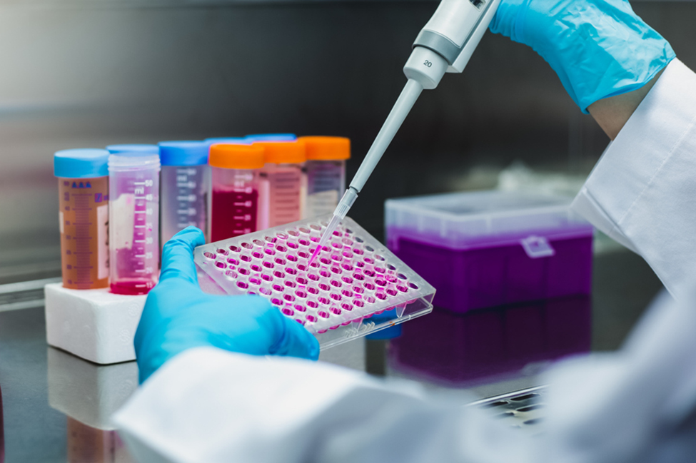 Stanford University Bioengineers Speed Up Protein Testing to 24 Hours