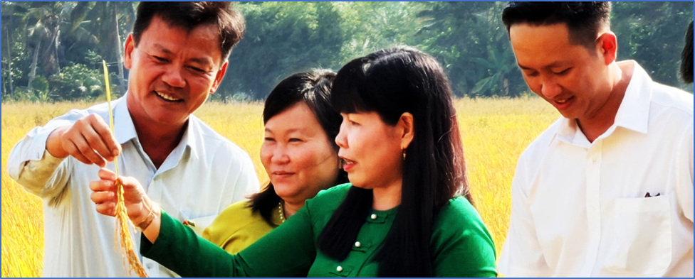  Success of Fertilize Right pilot in Vietnam&rsquo;s 1M-Hectare Rice Program show better yields and incomes