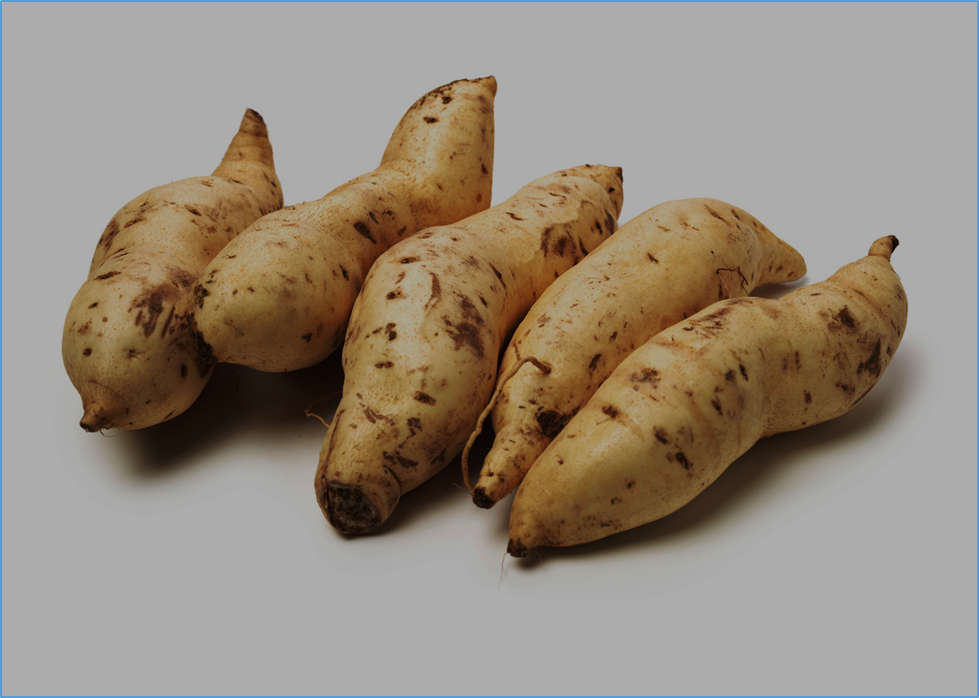Sweet Potato DNA Decoded, Reveals Ancestry