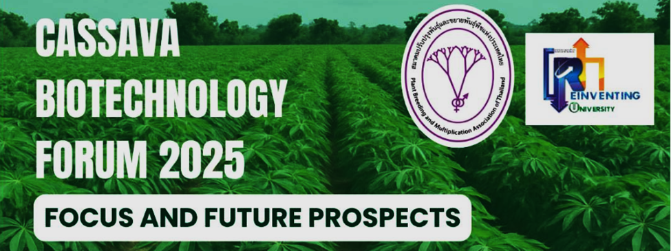 The Cassava Biotechnology Network (CBN) and cassava biotechnology research
