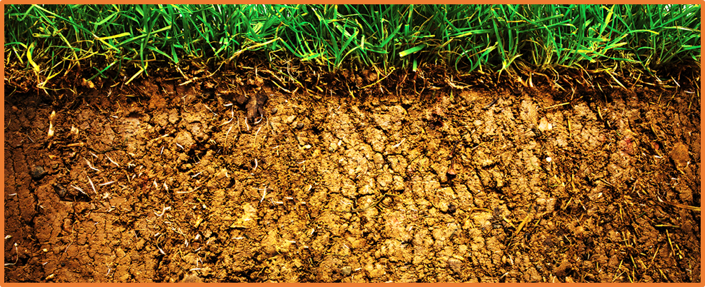 The invisible subsoil compaction risk under no-till farming