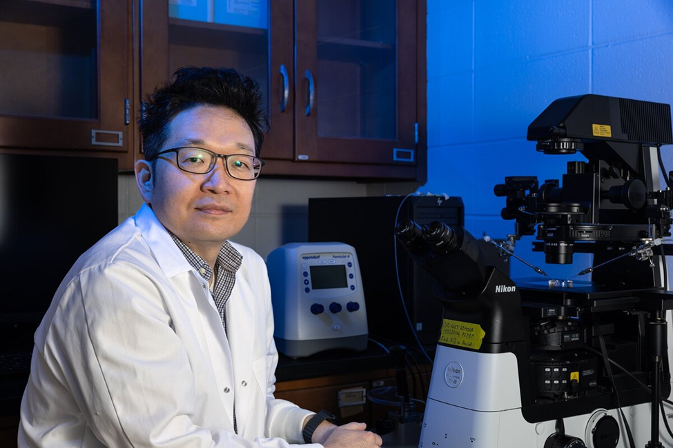 University of Missouri Develops New Gene Editing Method for Chickens