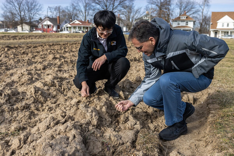 University of Missouri Discovers Protein that Regulates Root Growth