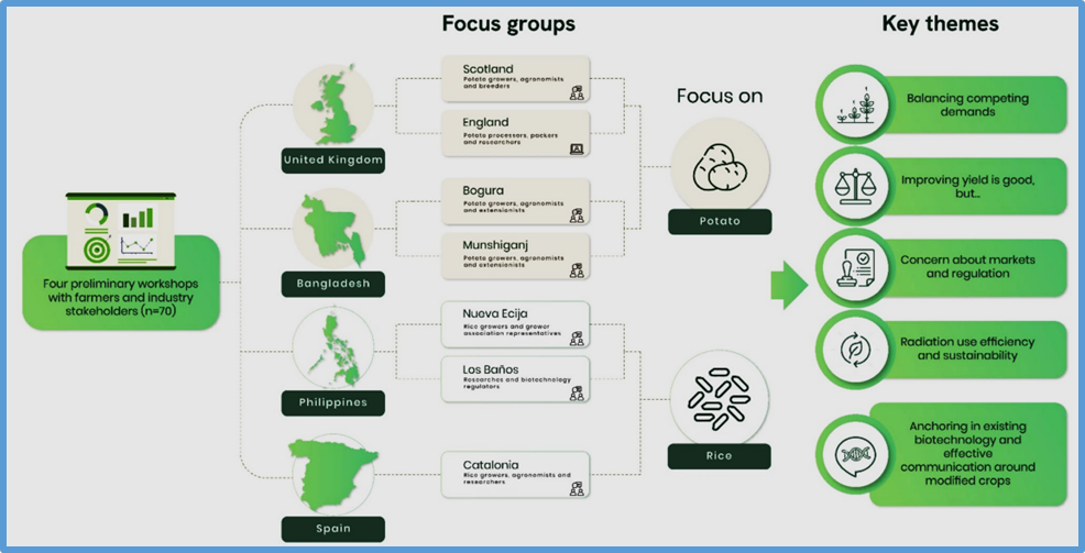 What farmers think about using crop biotechnology to boost photosynthesis in rice and potato