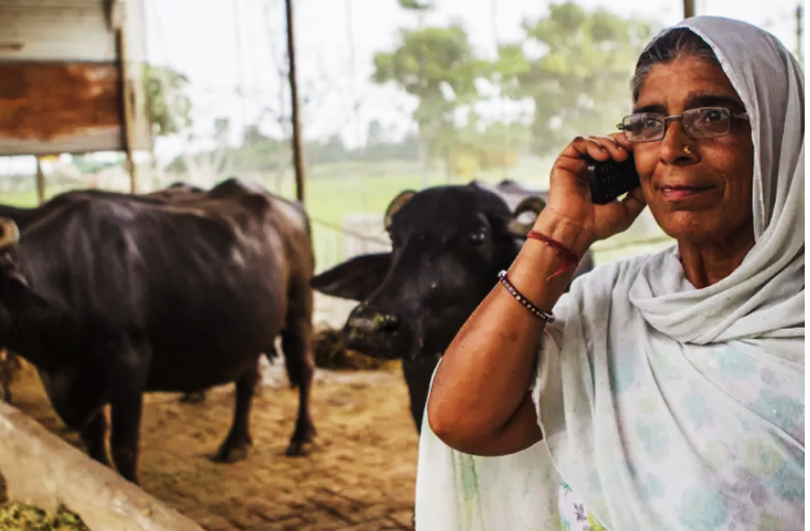 What will it take to make food systems work for women?